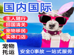 承德航空物流国际宠物托运 【国